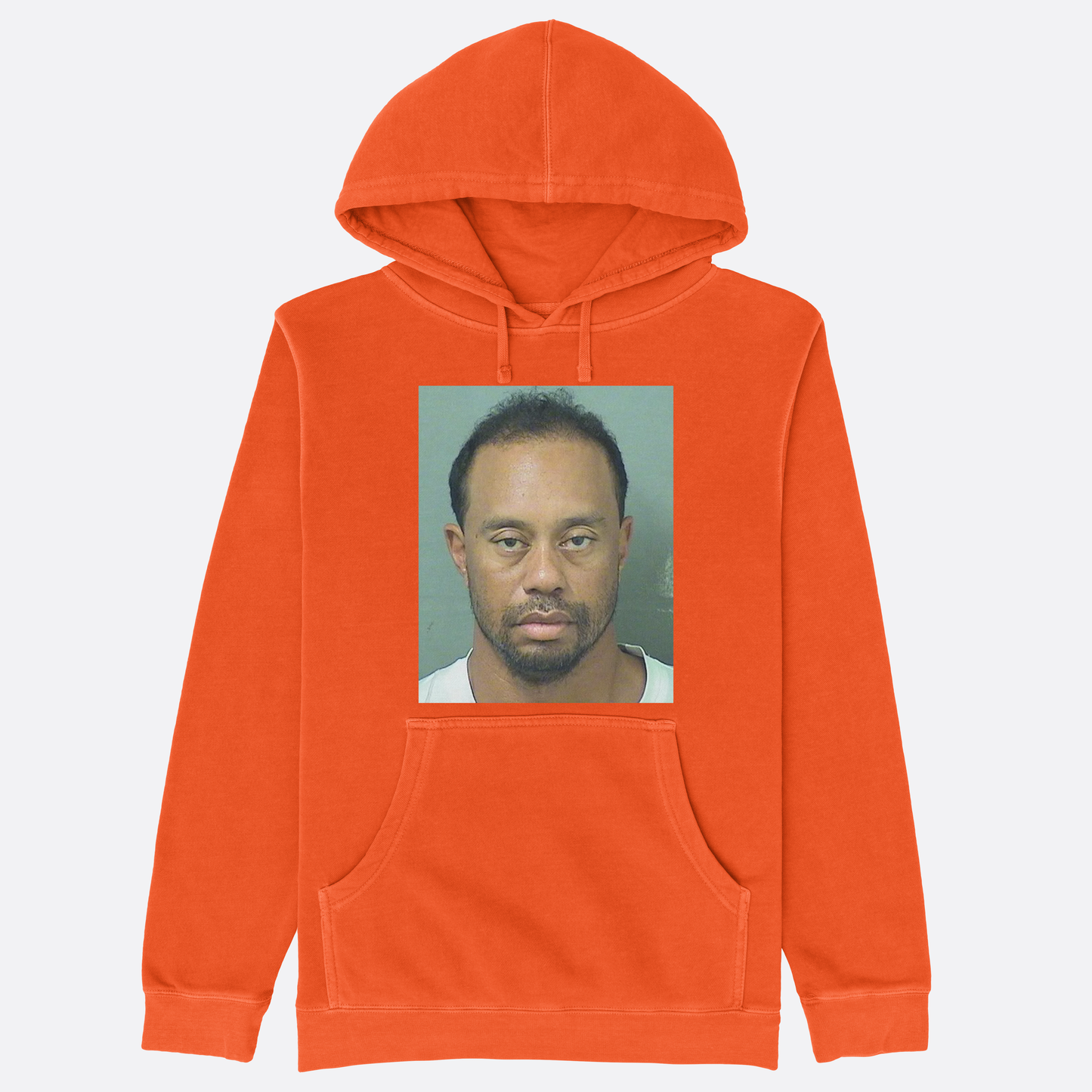 Tiger Mugshot Hoodie